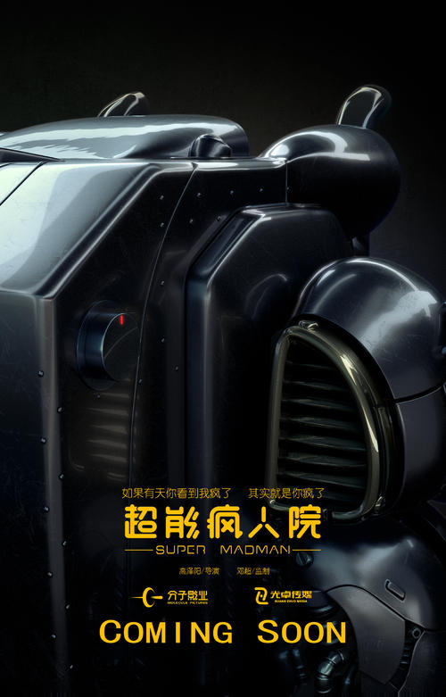 沈丘县高中毕业证样本